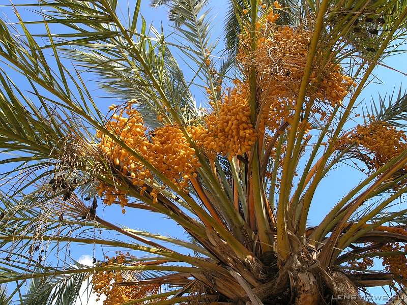 2006_11_18 11_18_32 OLYMPUS DIGITAL CAMERA         